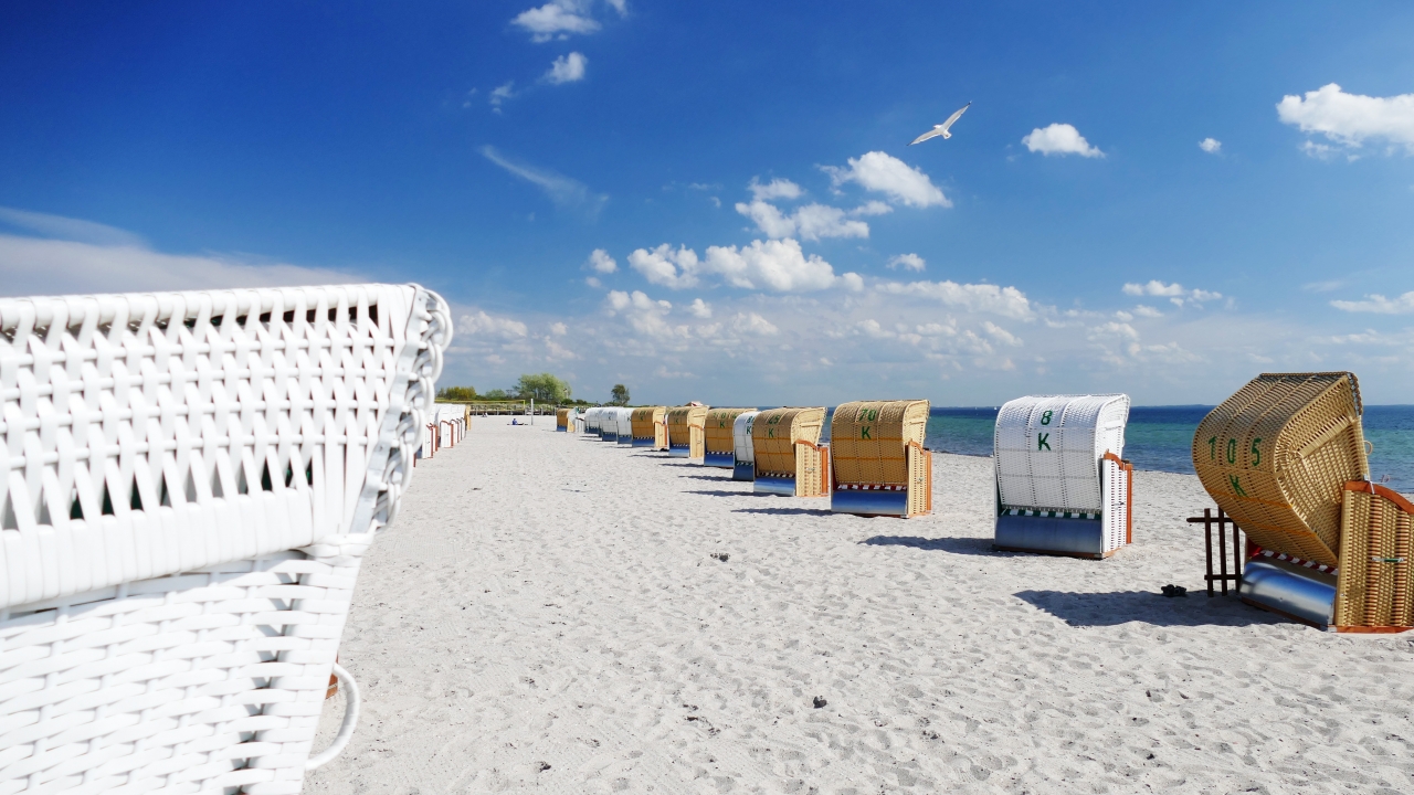 Strandkorb mit Möve
