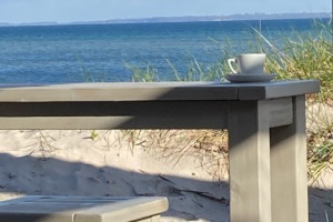 Beach House