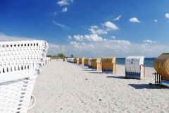 Strandkorb mit Möve