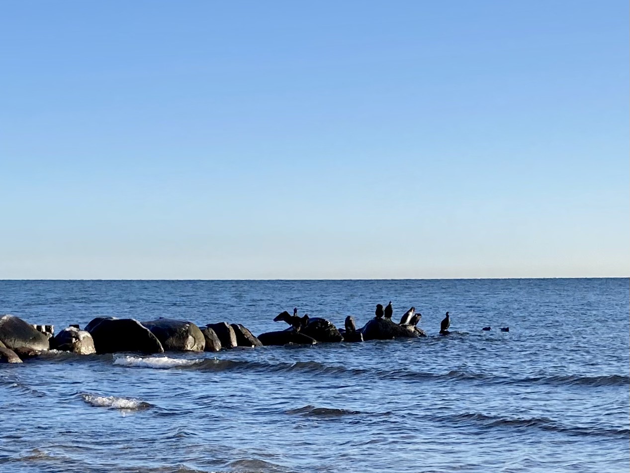 Am Strand