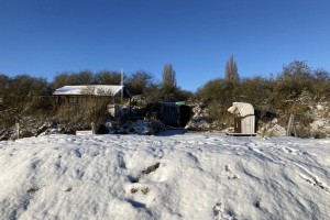 Am Strand