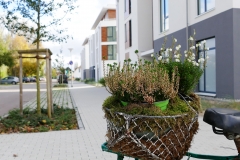 Außenanlage
